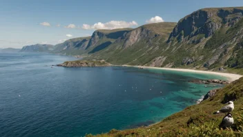 fugletitting i Norge, beste steder for fugletitting, Vegaøyene, Jæren, Rondane nasjonalpark, naturutforskning